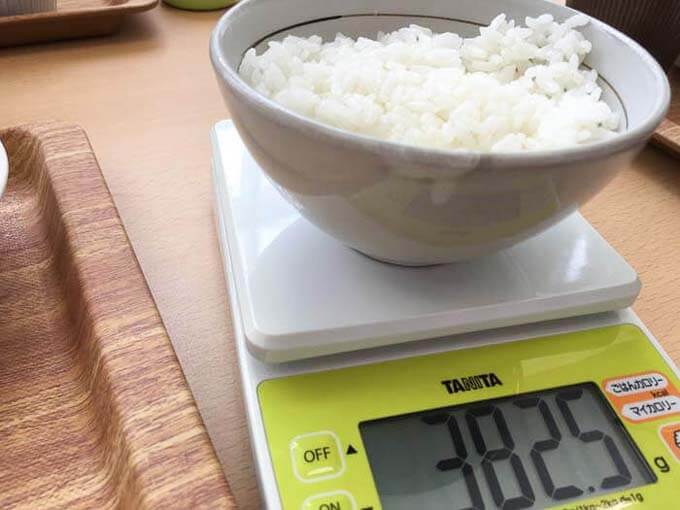 ごはんの適正量がこれで分かる