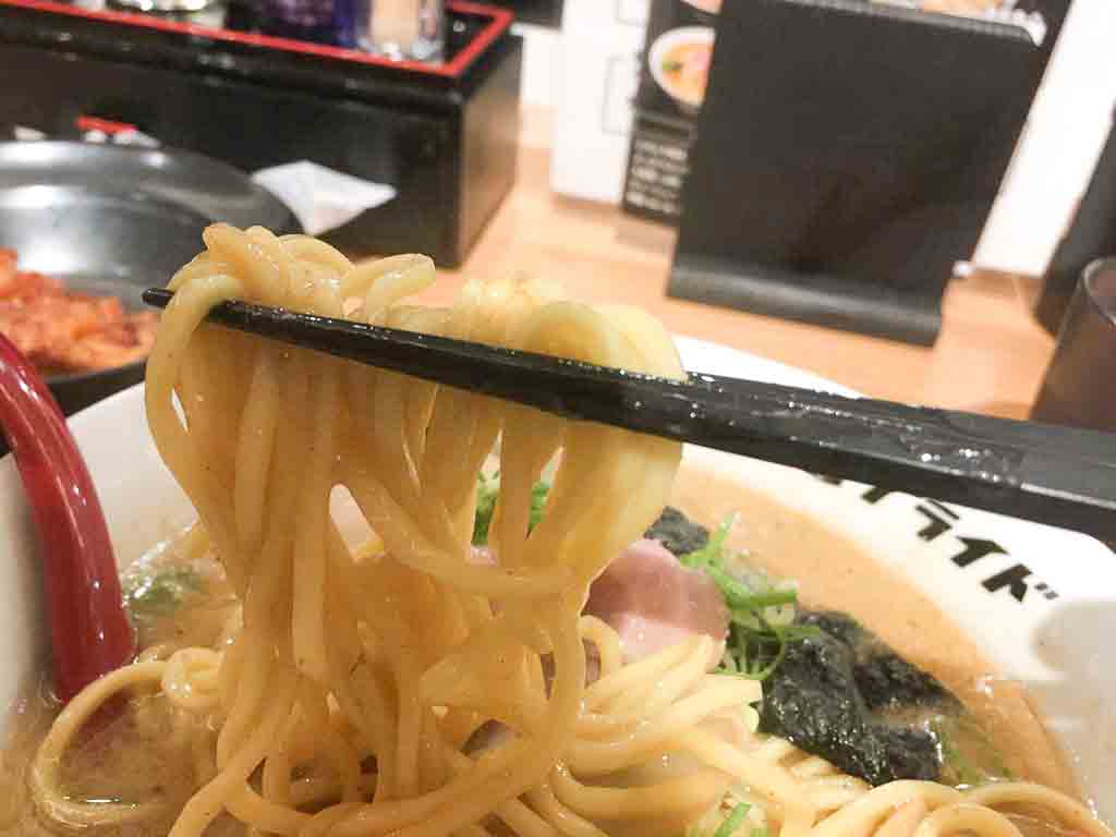 濃厚魚介とんこつラーメンの麺