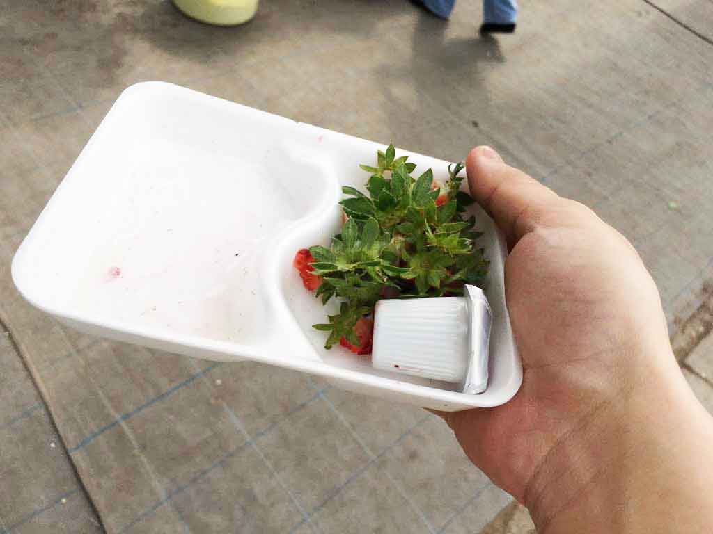 イチゴ20個以上、完食