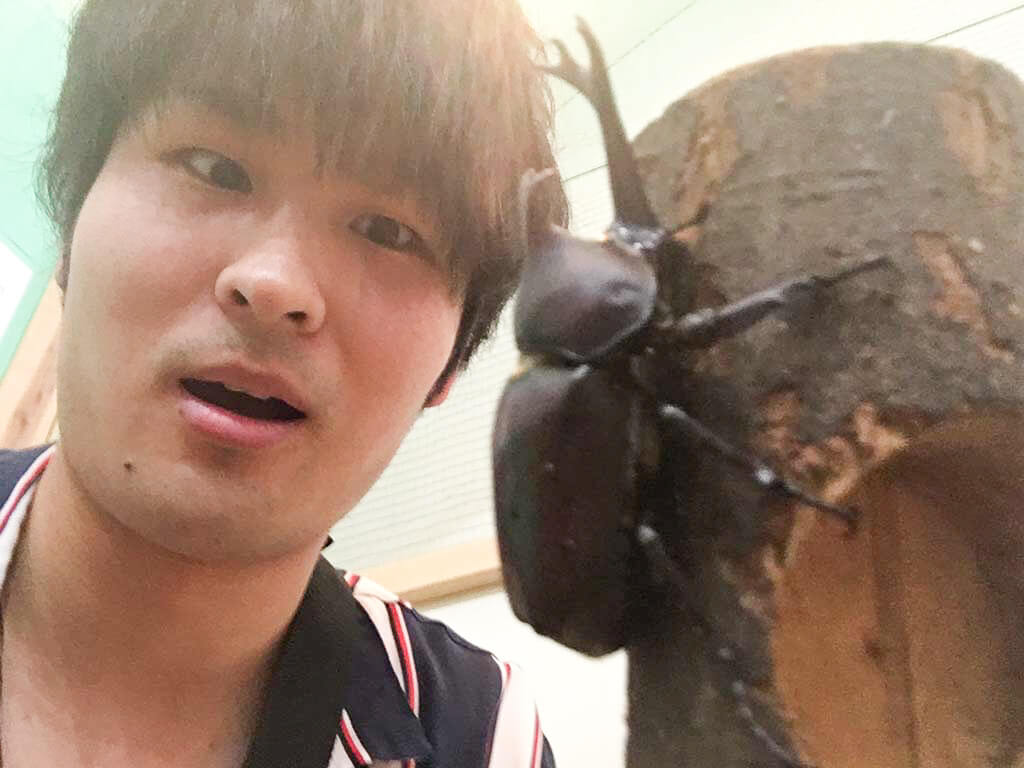 進撃のかじっくす