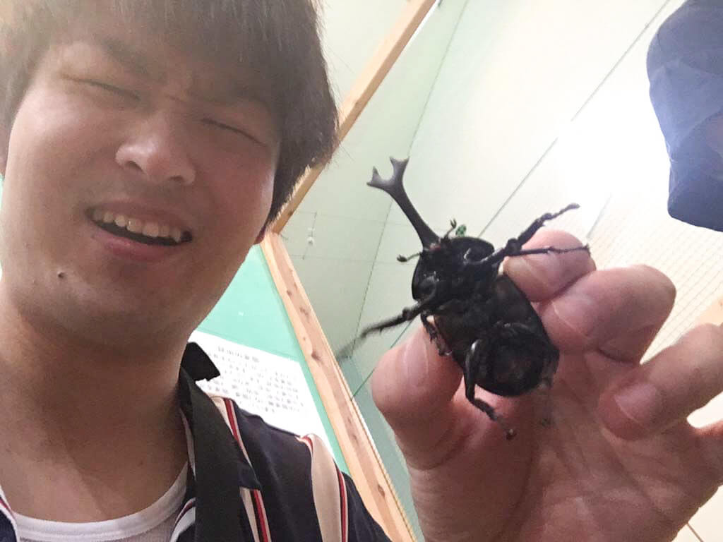 カブトムシが苦手なかじっくす