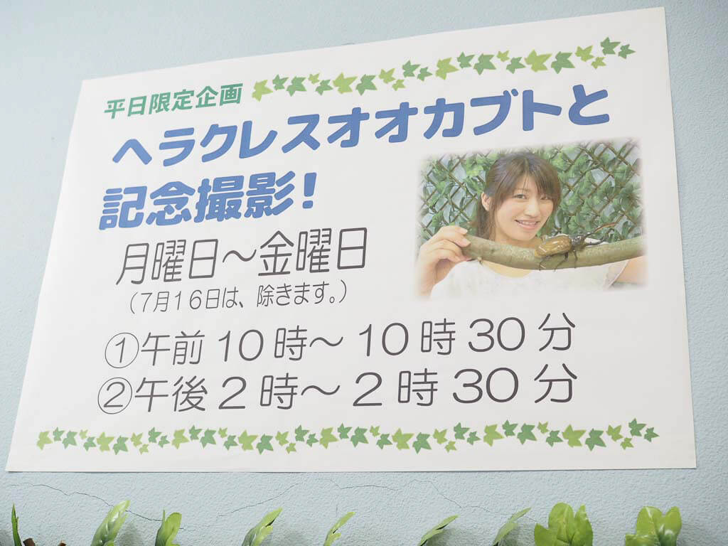 ヘラクレスオオカブトと記念撮影