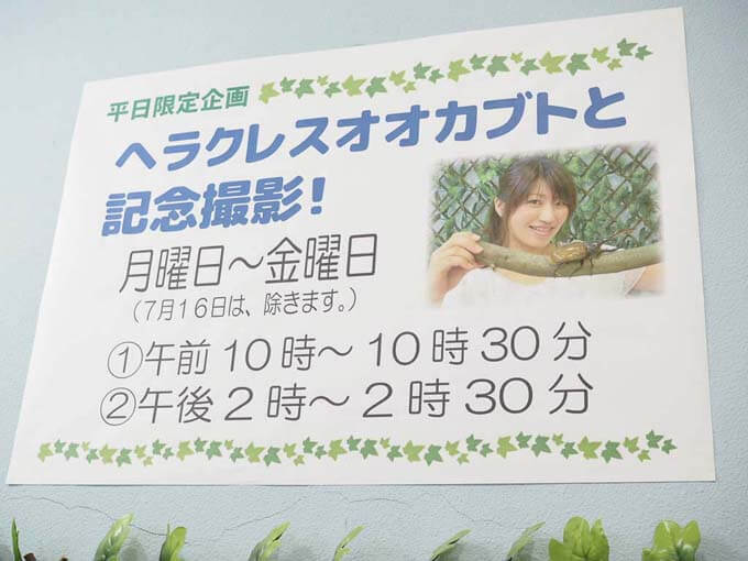 ヘラクレスオオカブトと記念撮影もできる