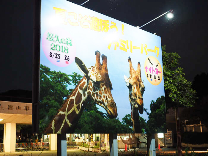 【富山市ファミリーパーク】ナイトズー、夜の動物園へ冒険に行こう!