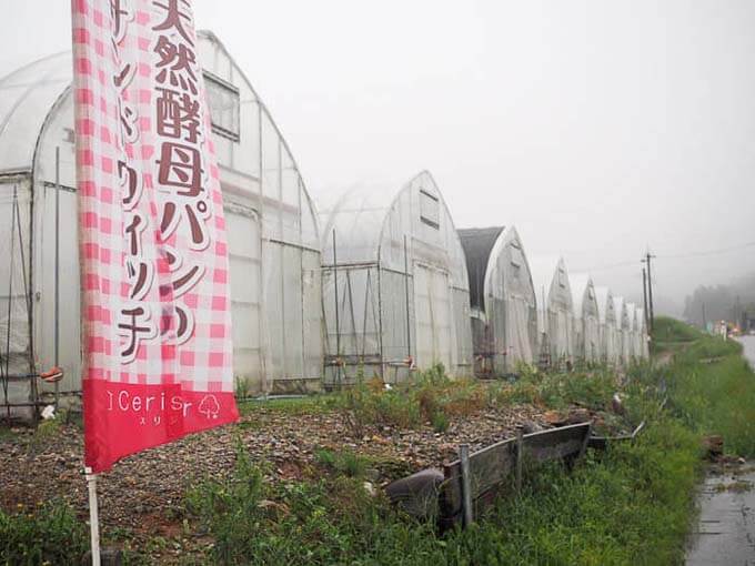晴れた日は周辺を散歩するのがおすすめ