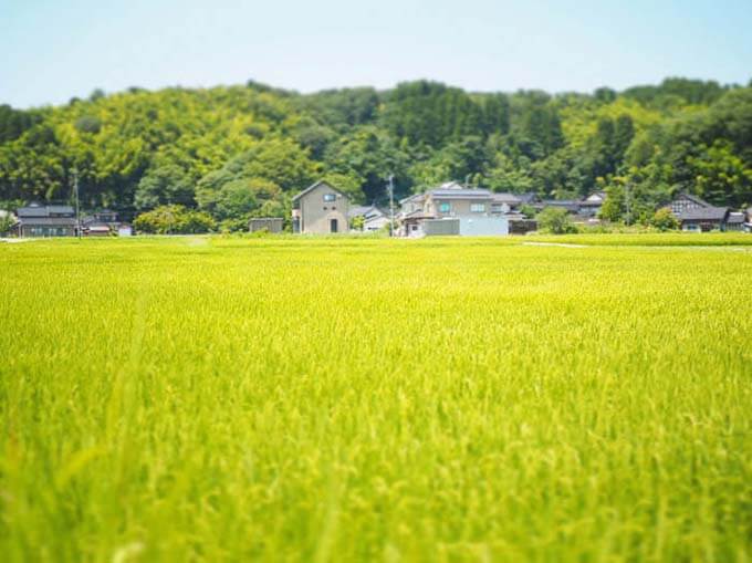 田園に囲まれたレストラン