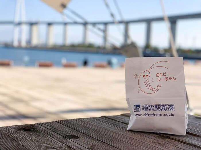 海王丸パークでピクニック気分