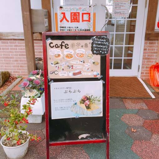 ログハウスの中に入ってみます