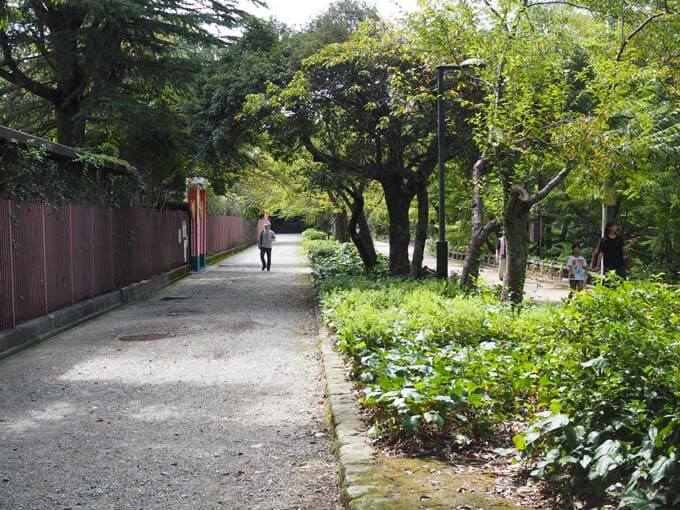 広い敷地が特徴的