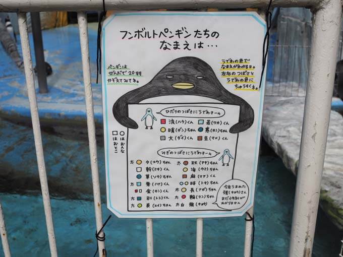 ペンギンたちの名前がびっしり