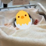 初めての出産立会い | 感想と夫としてできる3つのサポートを紹介