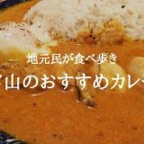 【2019年最新】富山のおすすめのカレー12選「ライス・ナン・うどんまで」