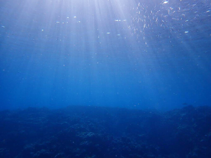 美しい海に感動